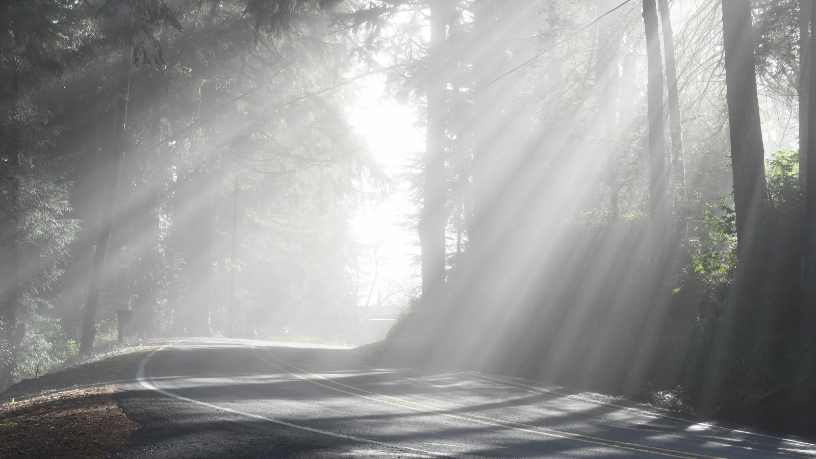 What No One Tells You About Happily Ever After