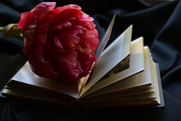 Triggers and Treasures