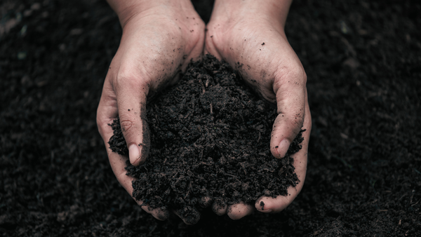 Hands holding dark soil, symbolizing the emotional labor and aftermath explored in Dirty Work, the sequel to Clean Break.