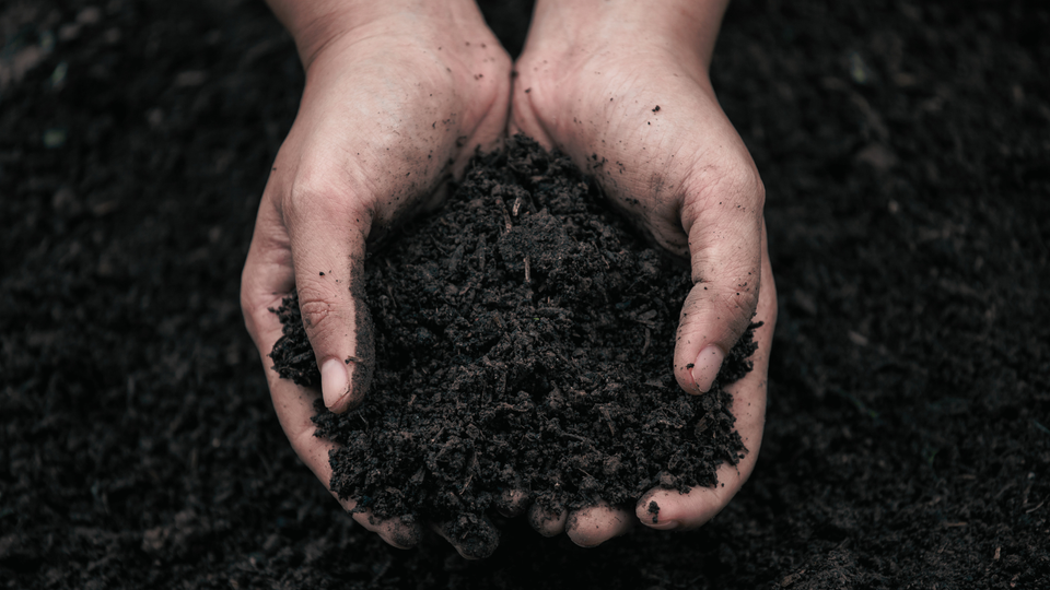 Hands holding dark soil, symbolizing the emotional labor and aftermath explored in Dirty Work, the sequel to Clean Break.